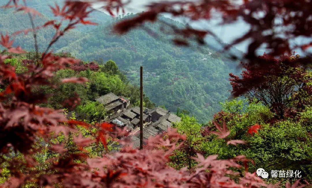 852ef3eb4c52dd8d17a83e06252587d3.png 852ef3eb4c52dd8d17a83e06252587d3.png