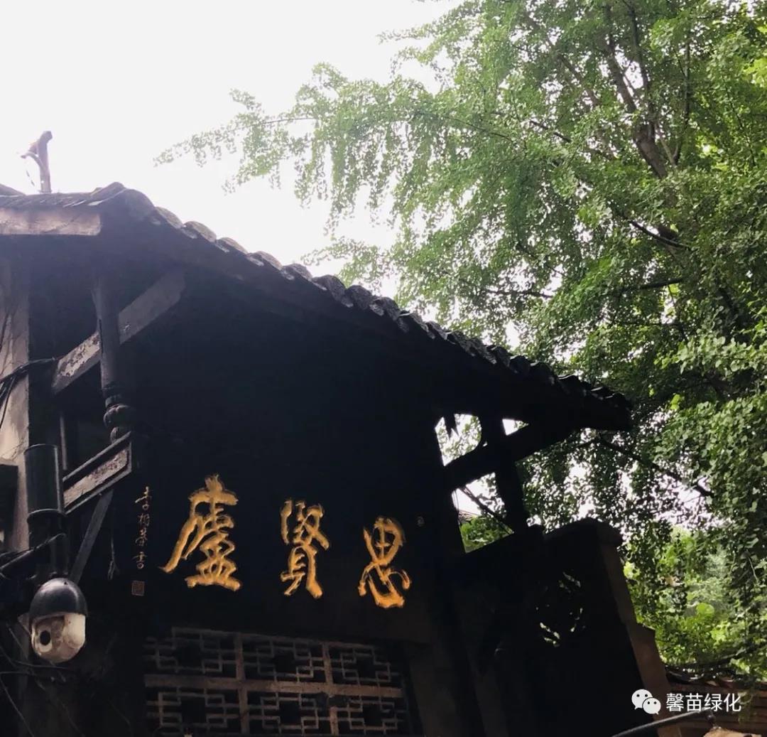 25a89f7cfde4af6447b7b24ad1b5bd37.jpg 25a89f7cfde4af6447b7b24ad1b5bd37.jpg