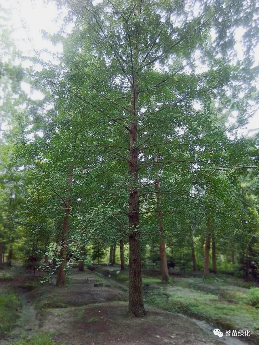 2da089c0ec875368142c45f085efc87c.jpg 2da089c0ec875368142c45f085efc87c.jpg