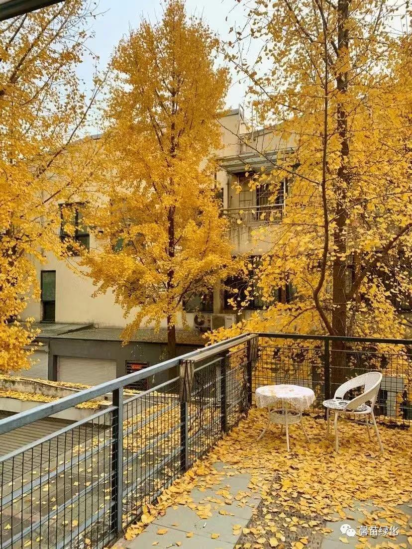 baf1db2e33e22044bde7025a0b17d3d6.jpg baf1db2e33e22044bde7025a0b17d3d6.jpg