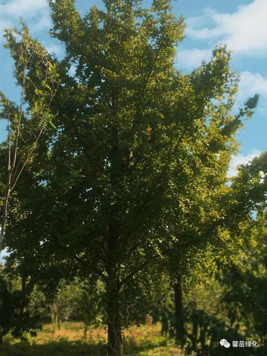 f82d0de39bfcc7d2da4a79b488c81d02.jpg f82d0de39bfcc7d2da4a79b488c81d02.jpg