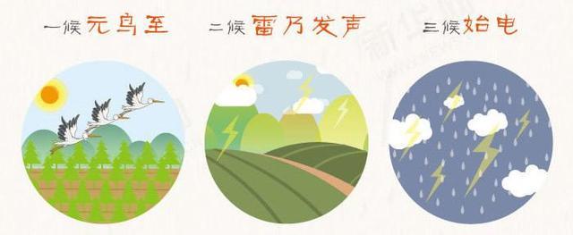 0955e64f73abea8e5eca7fcdb1a66424.jpeg 0955e64f73abea8e5eca7fcdb1a66424.jpeg