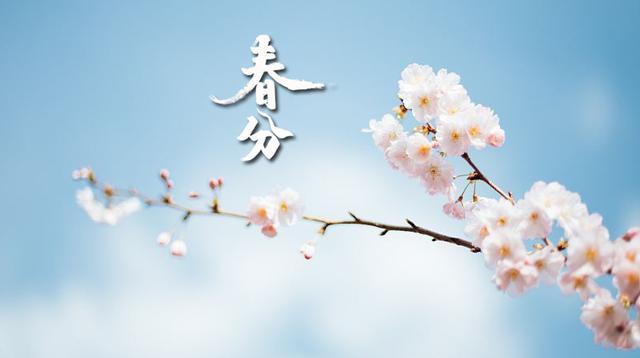 2bee4d57626b97fc6efdbbae82ea19b1.jpeg 2bee4d57626b97fc6efdbbae82ea19b1.jpeg