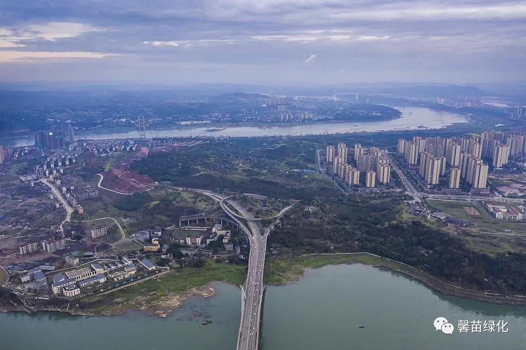 312a7a6fd411eaab304d2c120d2b84c1.jpg 312a7a6fd411eaab304d2c120d2b84c1.jpg