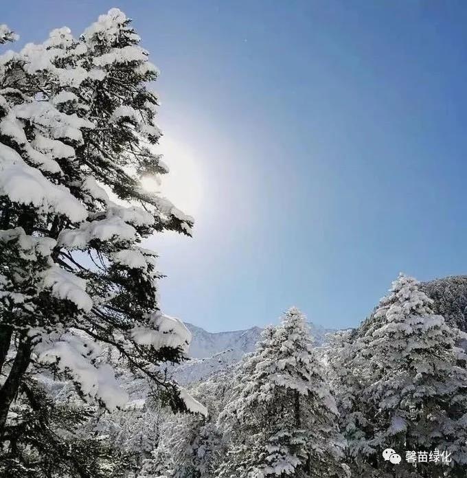 97a0d56d4337525c7197764f01b1b53d.jpg 97a0d56d4337525c7197764f01b1b53d.jpg