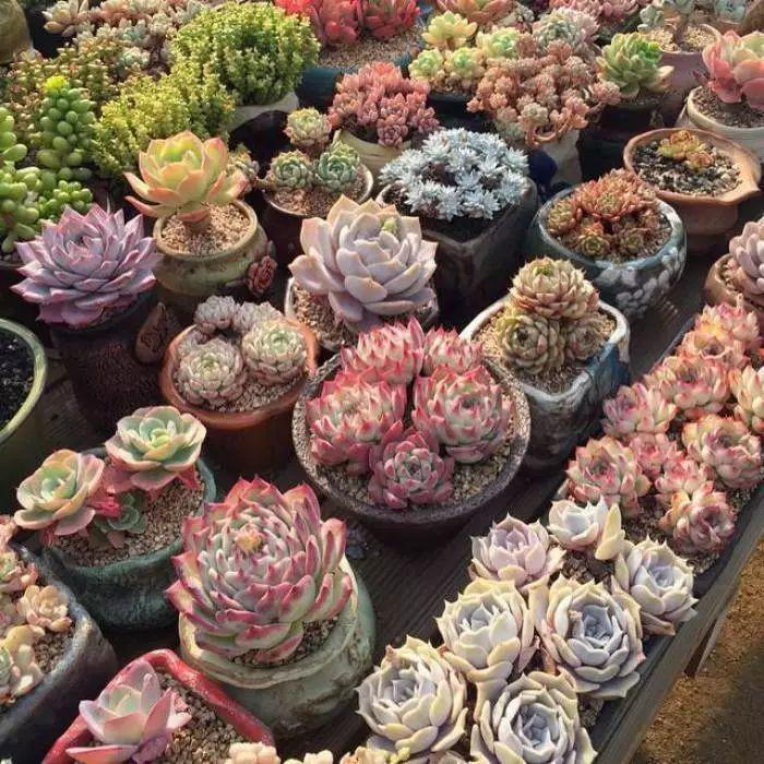 9ffe9d6706dec49f998ce07d38be924b.png 9ffe9d6706dec49f998ce07d38be924b.png