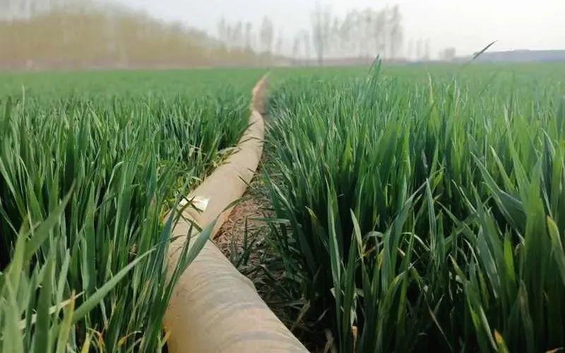 8ed986da6c7c03d9b3a64f9374ed265d.jpg 8ed986da6c7c03d9b3a64f9374ed265d.jpg