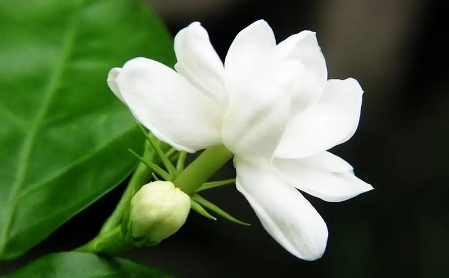 49fd4a9a9303caadc529e4fff1de194a.png 03.png